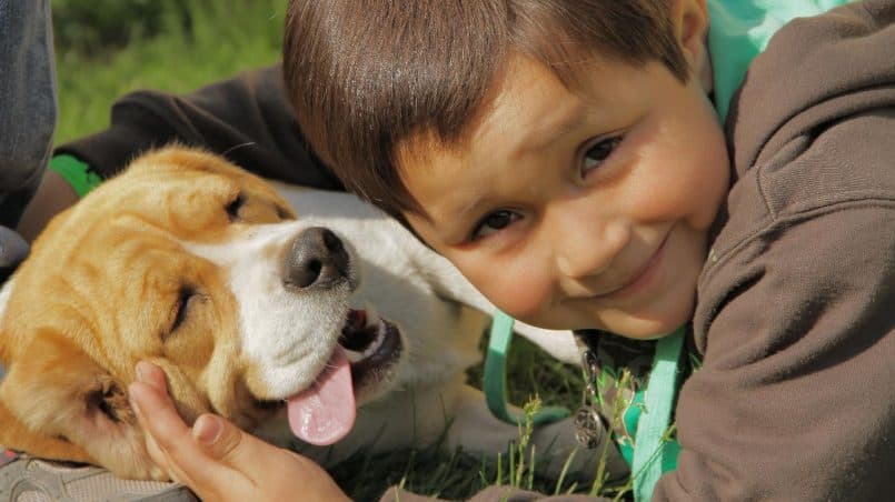 beneficios-perros-ninos