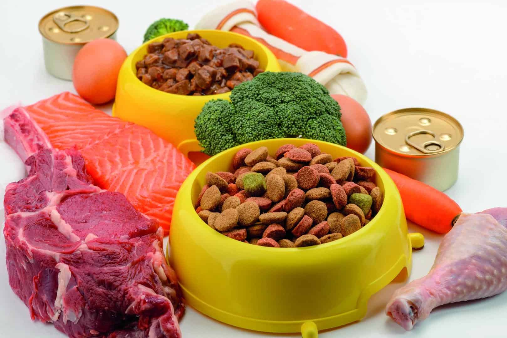 Alimentos Orgánicos para Mascotas
